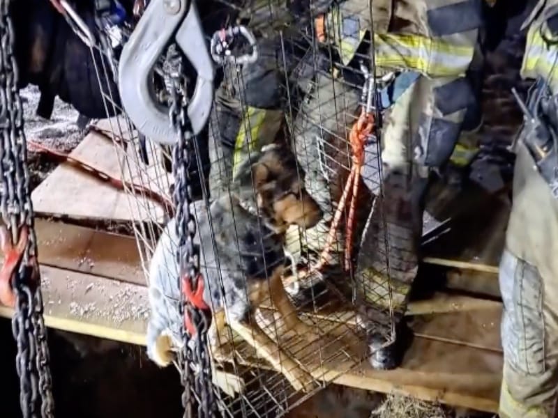 Lynchburg towing service